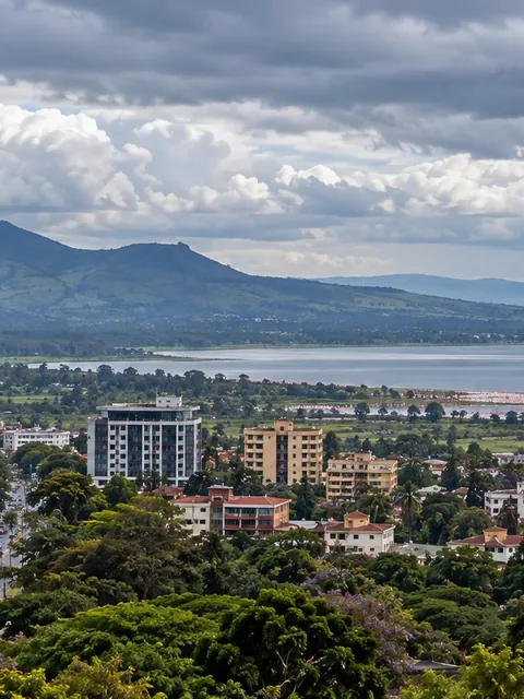 Nakuru from above: the town, green trees and the lake below the hills